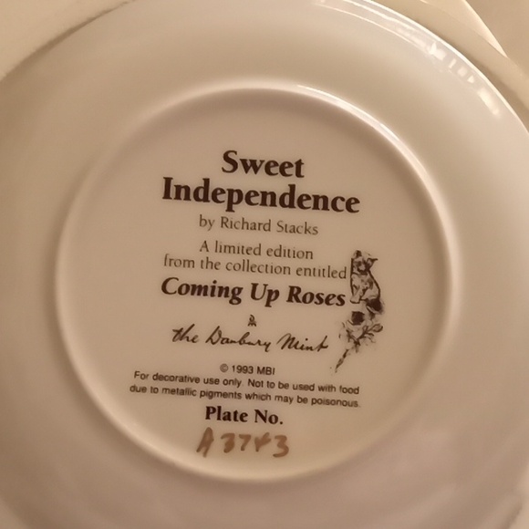 Danbury Mint Plate Collection "Coming Up Roses" 8Plates - Picture 4 of 16